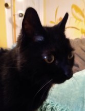 IMG_20190627_190646507