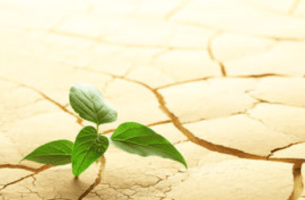 Screenshot 2019-06-28 at 11.45.34 PM